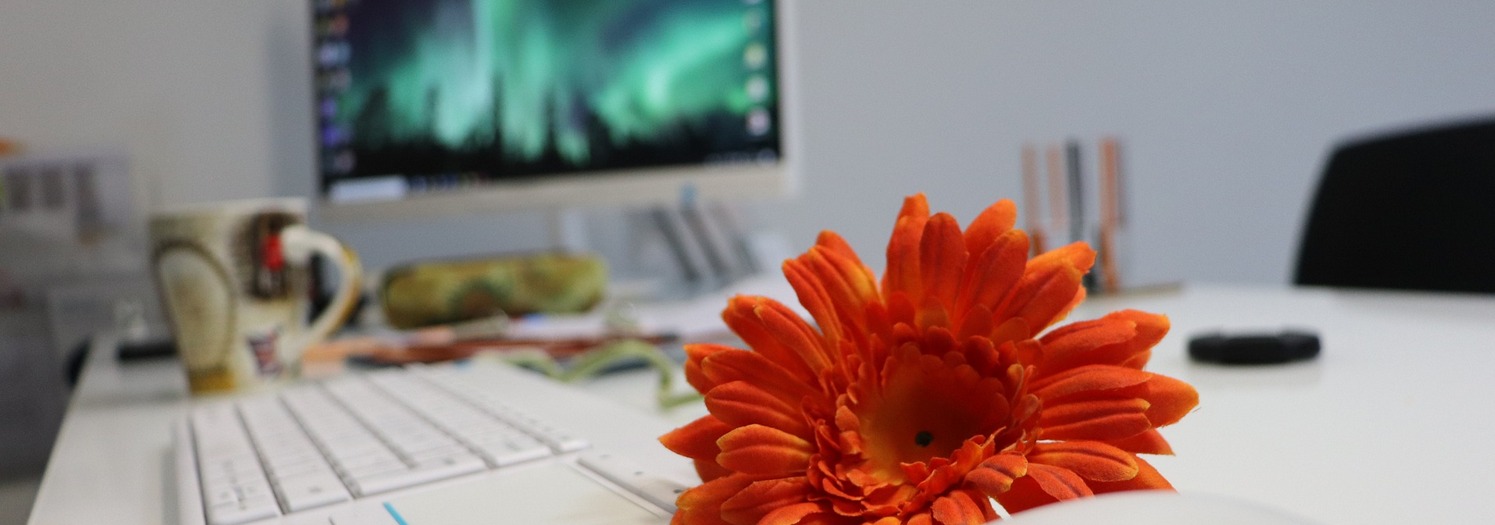 desk-4962107_1920.jpg